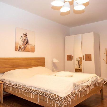 Classic Apartment Near The City Center Cluj-Napoca Exterior foto