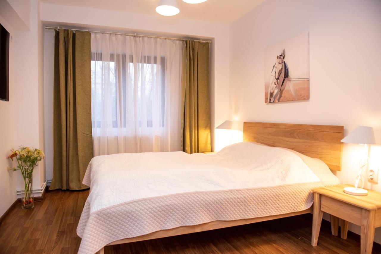 Classic Apartment Near The City Center Cluj-Napoca Exterior foto